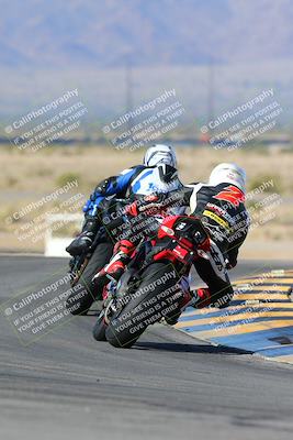 media/Feb-03-2024-SoCal Trackdays (Sat) [[767c60a41c]]/2-Turn 11 (10am)/